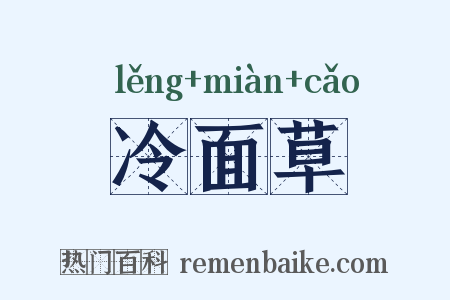 冷面草是什么意思的图片